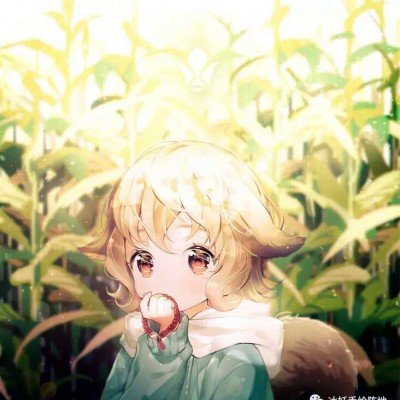 全红婵一天只吃一顿饭引热议